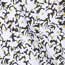 Aashna Organic Cotton High-Low Hem Button-Down Shirt - White/Black - Image 8
