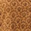 Maira Block Print Cotton Jersey Tee - Cedar - Image 6